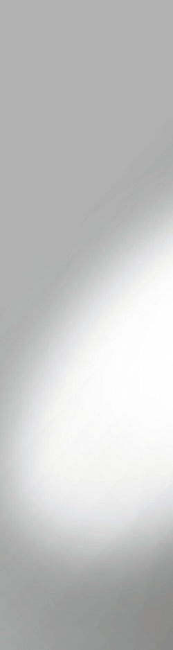 Miroir d'armoire MODUL - Gris clair / L : 37,0 cm x H : 139,0 cm