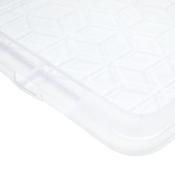Contenitore con coperchio EVO - Trasparente / L: 28,3 cm x P: 39,3 cm x A: 1,8 cm