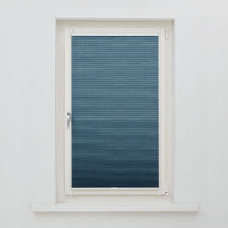 DAY-LIGHT Store plissé duette - Bleu / L: 50.0 cm x H: 140.0 cm