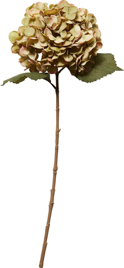 HYDRANGEA Plante artificielle - Vert / Hauteur : 65,0 cm