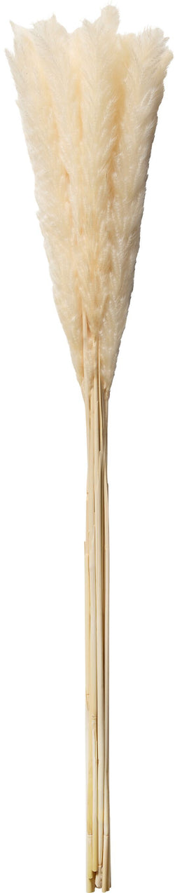 Pianta essiccata PAMPAS - Bianca / Altezza: 100,0 cm