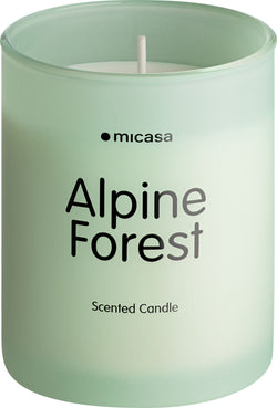 SIAN Alpine Forest Bougie parfumée - Forêt alpine / Forêt alpine