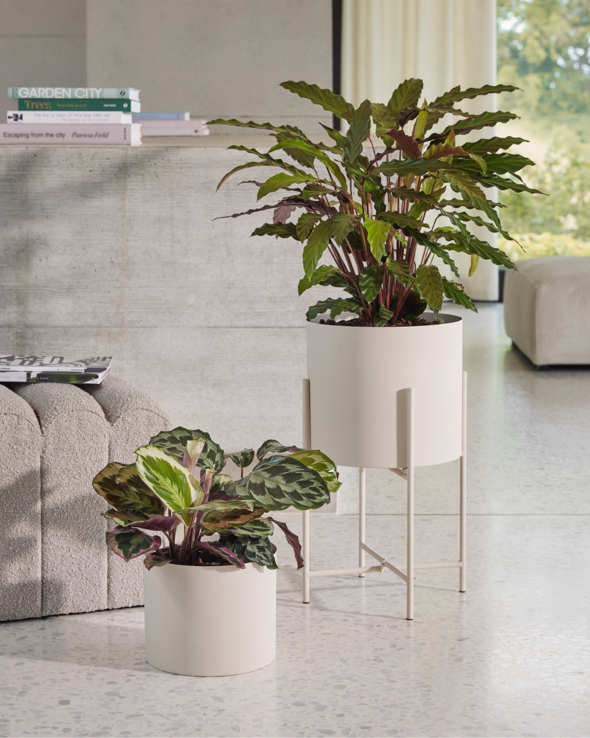 Zwei gruene Zimmerpflanzen in weissen Uebertoepfen, eine auf einem Ständer, vor einer grauen Wand.