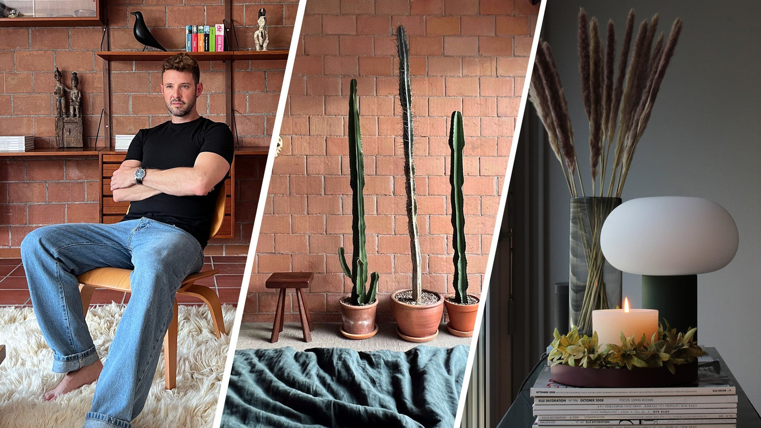 Wohnbereich mit Regal und Dekoration, daneben drei hohe Kakteen in Töpfen vor einer Ziegelwand, sowie ein Tisch mit Kerze, Trockenblumen und Büchern.