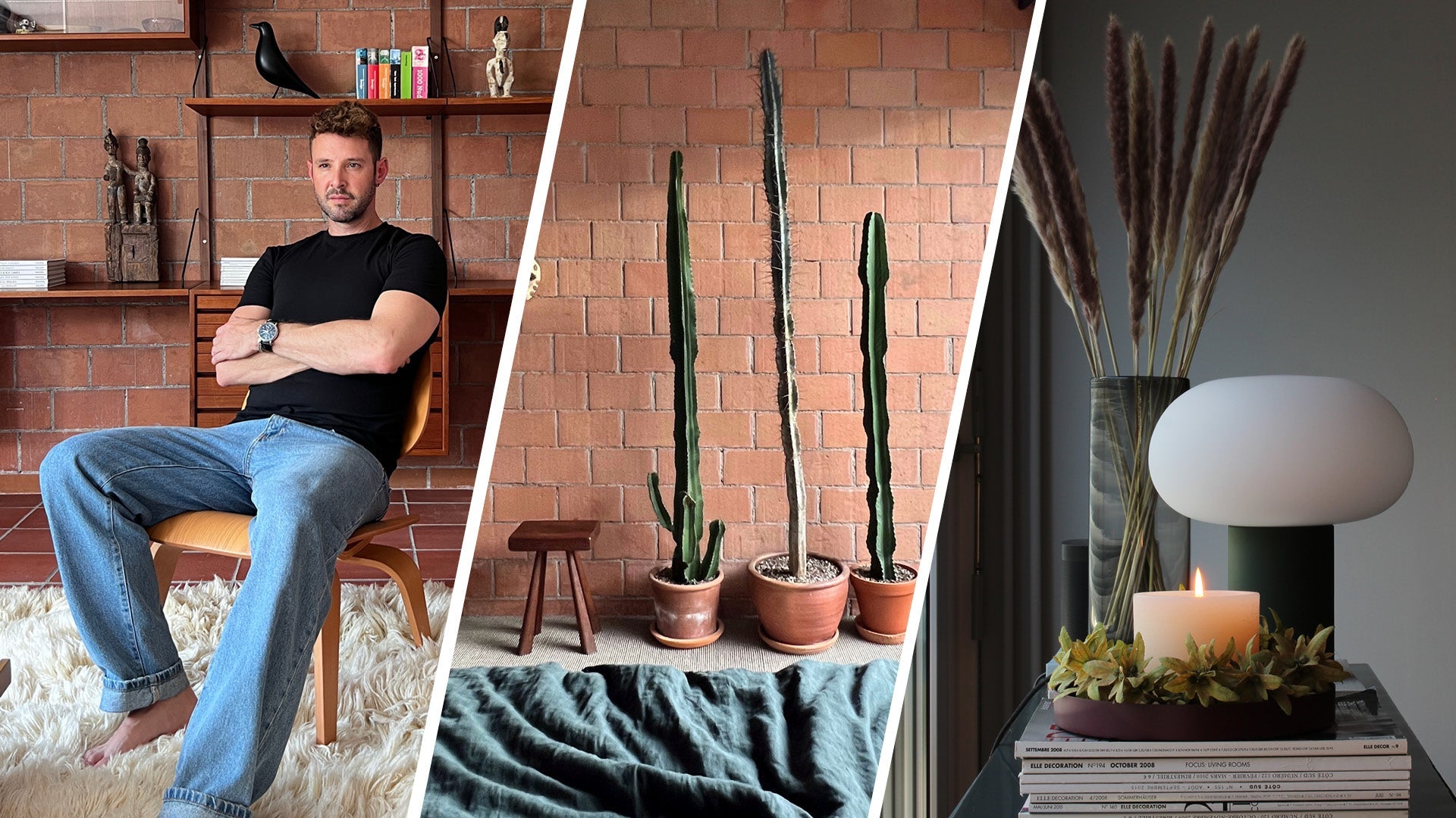 Wohnbereich mit Regal und Dekoration, daneben drei hohe Kakteen in Töpfen vor einer Ziegelwand, sowie ein Tisch mit Kerze, Trockenblumen und Büchern.