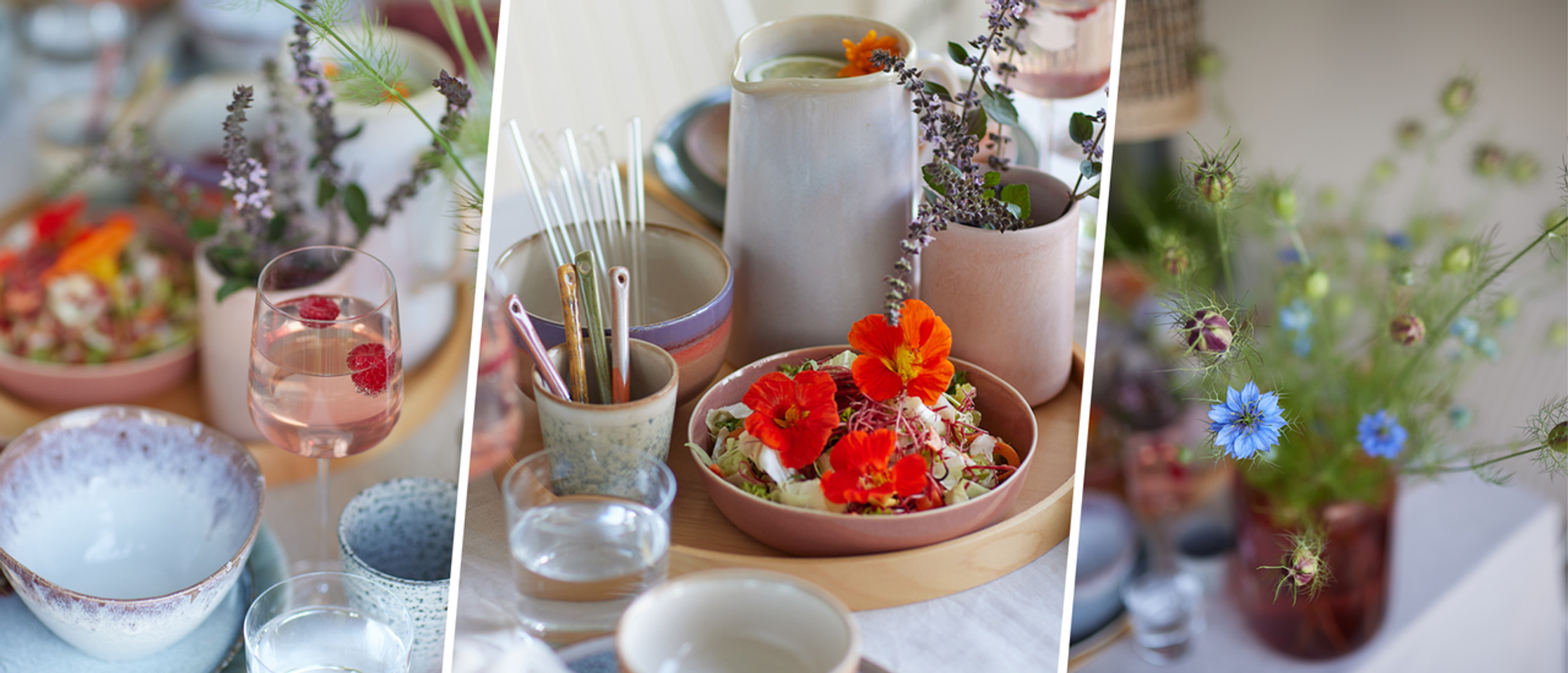 Der perfekte Geschirr-Mix: Mit diesen 5 Tipps hast du lange Freude an deinem Geschirr!