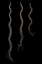 1511487875