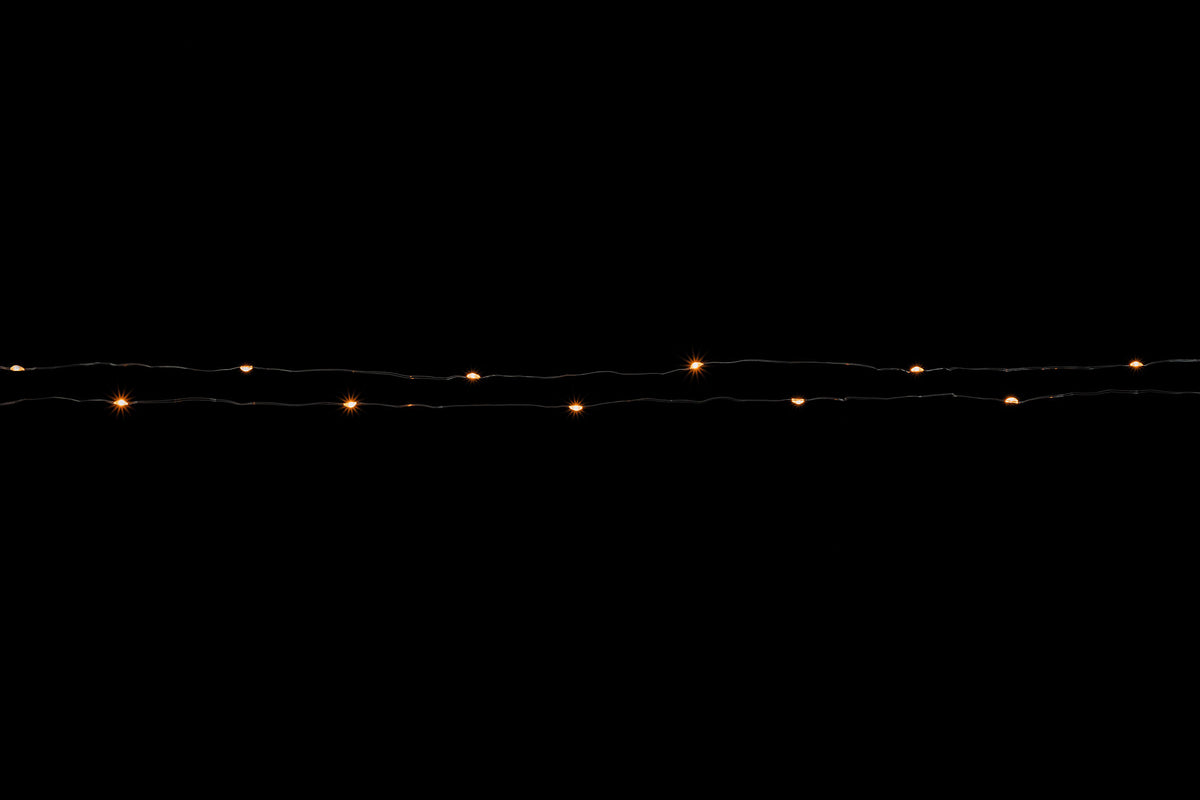 602520100