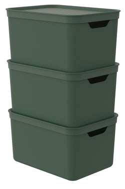Lot de 3 boîtes ALVRA avec couvercle, 16 L - Vert / L : 26,5 cm x H : 28,3 cm x P : 36,5 cm
