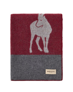 Couverture AROSA