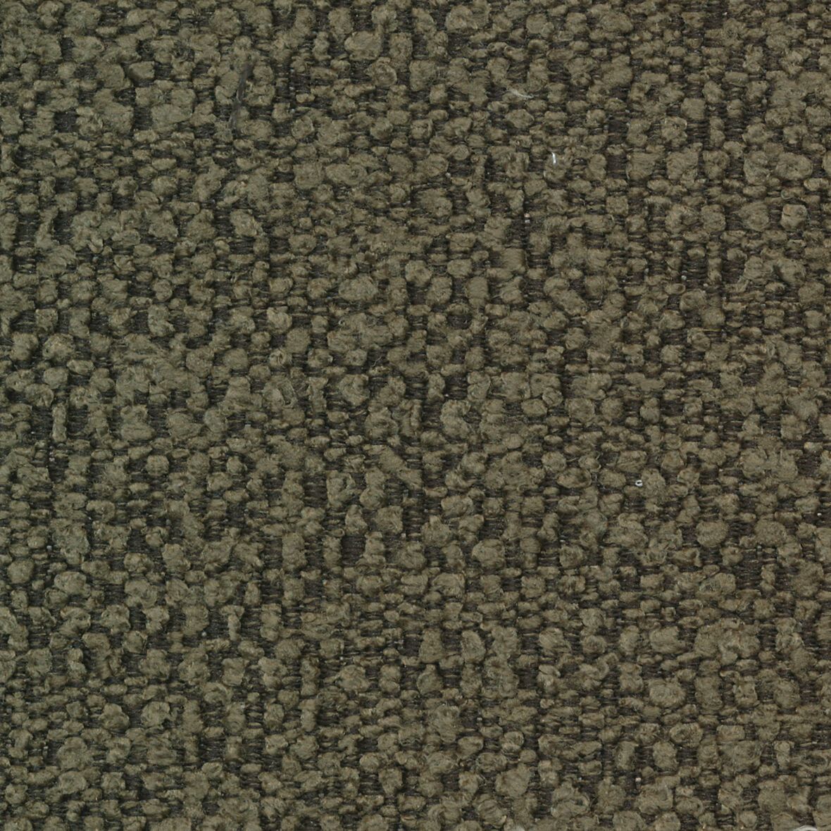 449442545