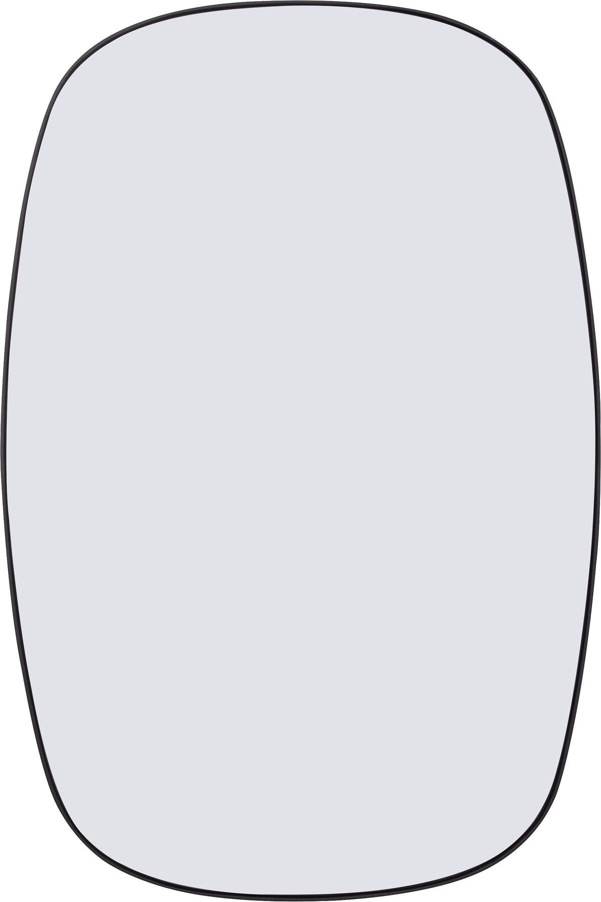361276003