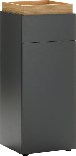 RAKKEL II Schuhschrank - Anthrazit / B: 41.6 cm x T: 41.6 cm x H: 104.2 cm