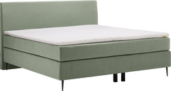 bico GOODNIGHT Boxspringbett - Mint / B: 160.0 cm x T: 200.0 cm