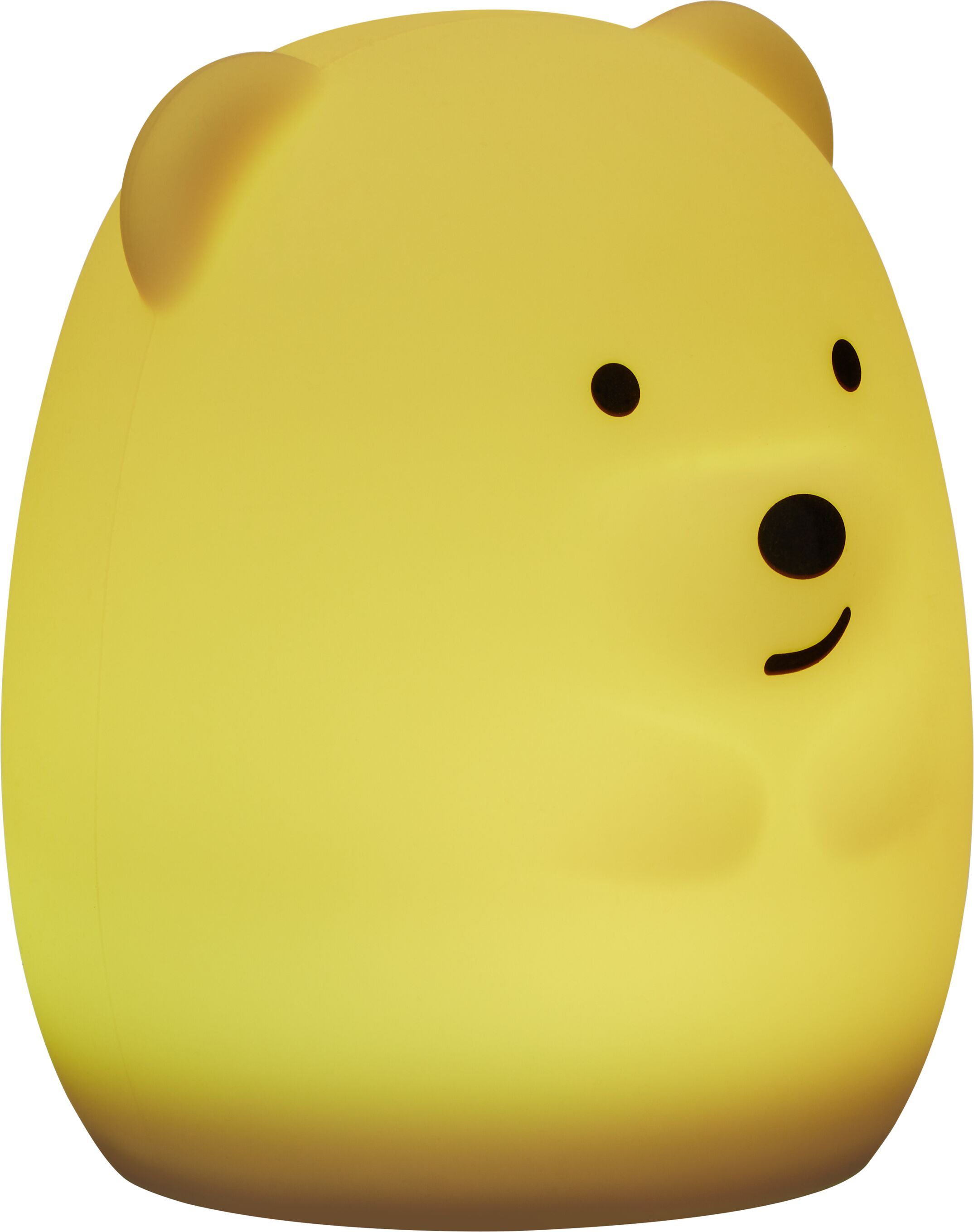 44497581