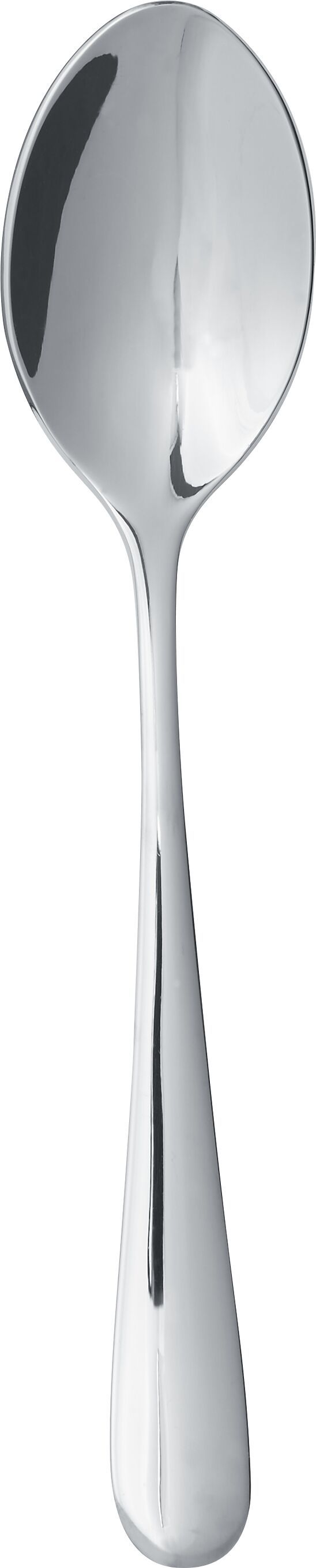 458040213