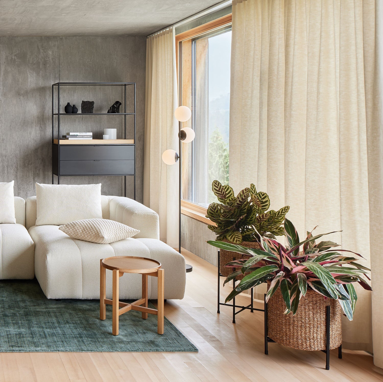 Modernes Wohnzimmer mit hellem Sofa, grünem Teppich, Holzstuhl und zwei Zimmerpflanzen in geflochtenen Übertöpfen.