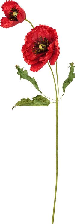 MOHN - rot / H: 69 cm