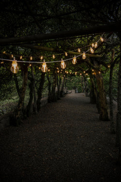 Solar Dual Partylight 10 LED - Nero / L: 500.0 cm