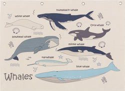 AUGUSTIN Poster - Natur / B: 107.0 cm x H: 76.0 cm