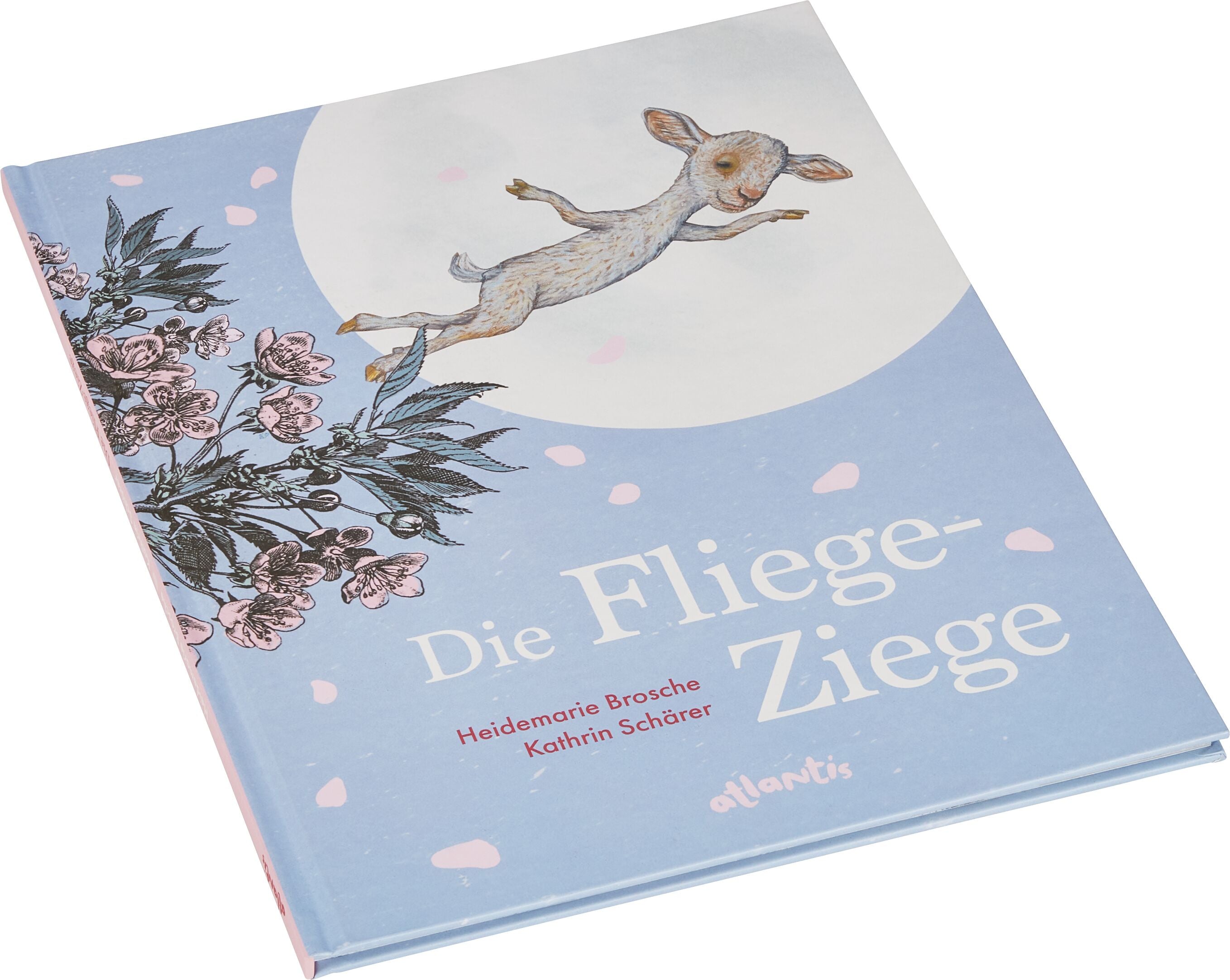 Buch "die Fliege-Ziege" Libro per bambini