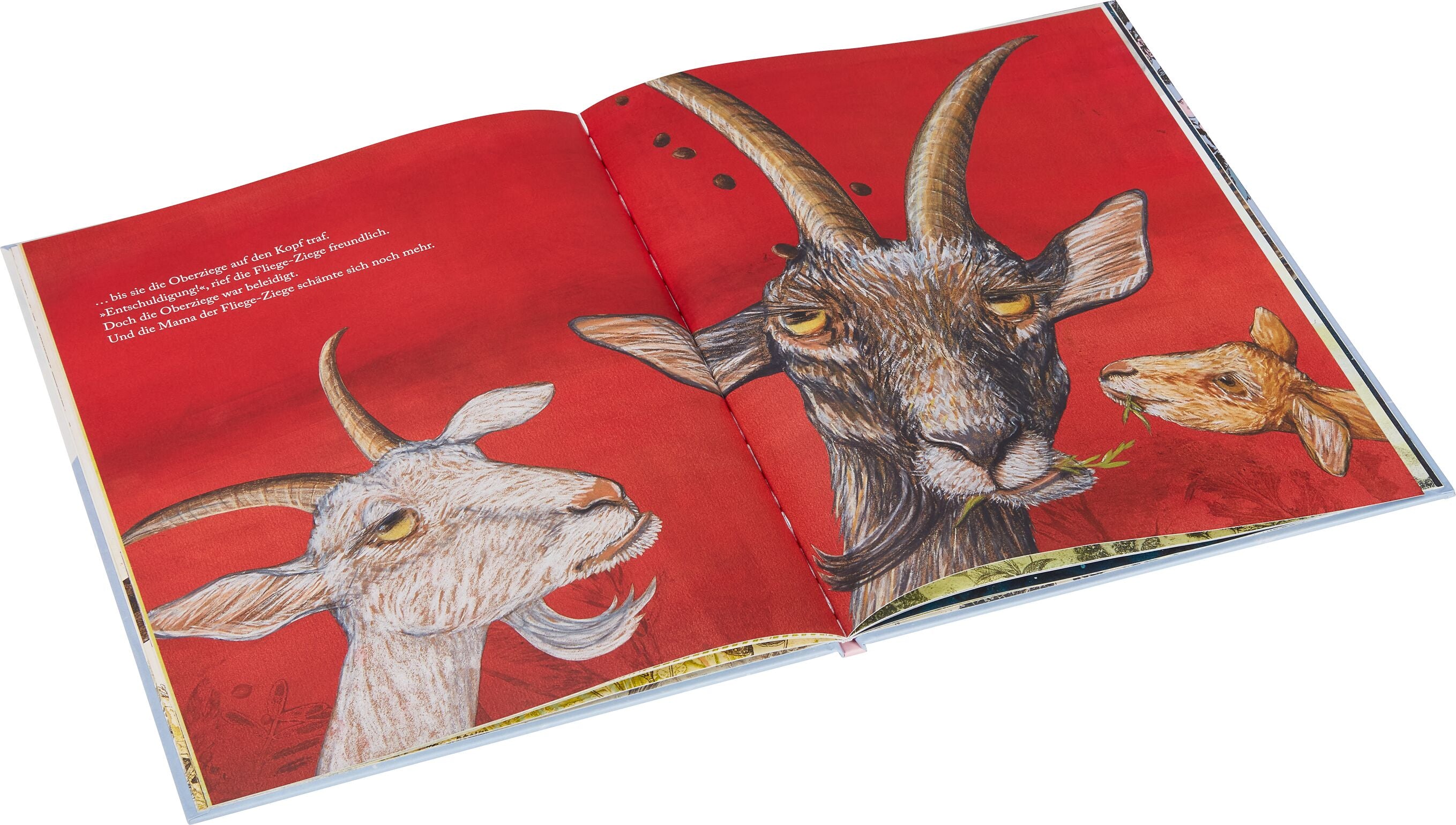 Buch "die Fliege-Ziege" Kinderbuch