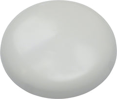 1170508335