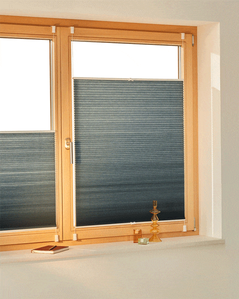 Plissee am Fenster, das sich flexibel hoch- und runterziehen laesst.