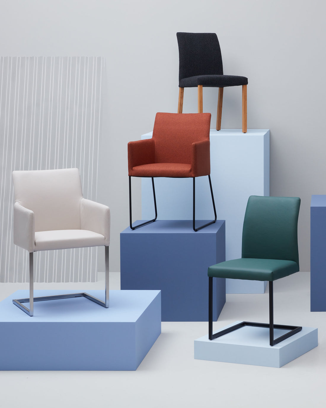 Vier moderne SIENA Polsterstühle in verschiedenen Farben stehen auf unterschiedlich hohen blauen Podesten vor einer hellen, minimalistischen Wandkulisse.